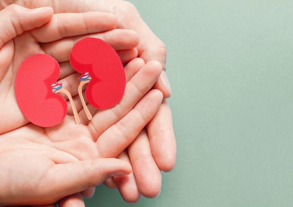 Adult and child holding kidney shaped paper on textured blue background, world kidney day, National Organ Donor Day, charity donation concept