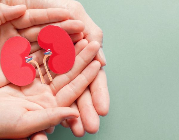 Adult and child holding kidney shaped paper on textured blue background, world kidney day, National Organ Donor Day, charity donation concept